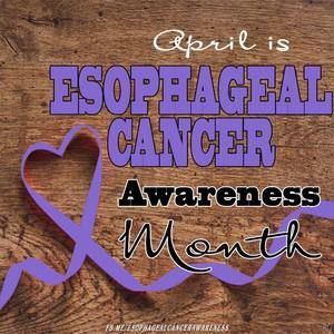 Meet your Posher, Joy